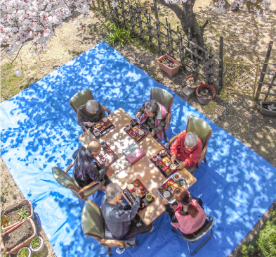 お庭の桜でお花見